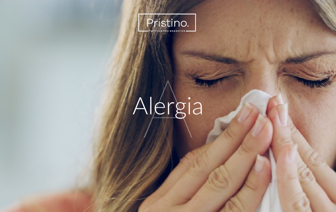 Alivia las alergias
